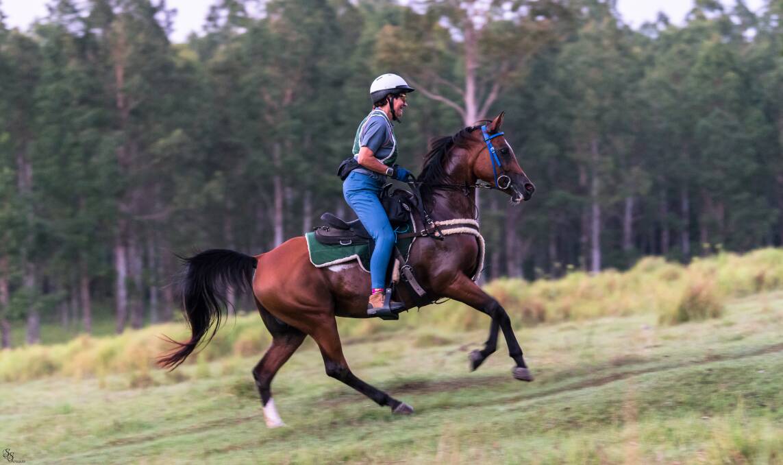 HARD RIDE: Beaudesert's Andrea Laws-King is riding 160 kilometres through tough terrain for the 2019 Equestrian Australia Championships. Photo: Sarah Sullivan