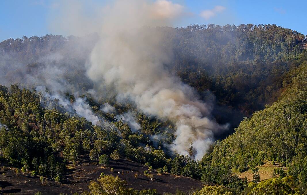 FIRE: There were 230 vegetation fires across Queensland at the weekend. 