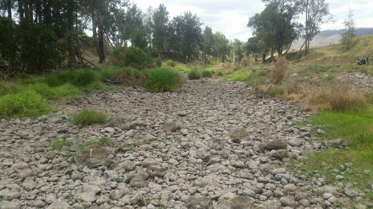 WATER METER: The Albert River at Kerry, taken on November 26. Photo: Supplied