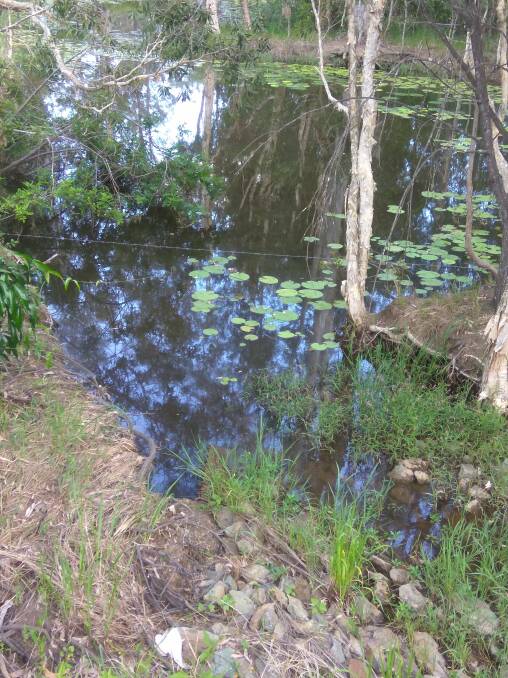 Natural watercourse: One of the springs near the Covella development in Greenbank which residents are concerned about. Photo: Supplied