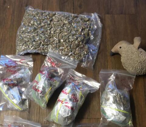 ARREST: Police will allege they found cannabis at the property. Photo: QPS
