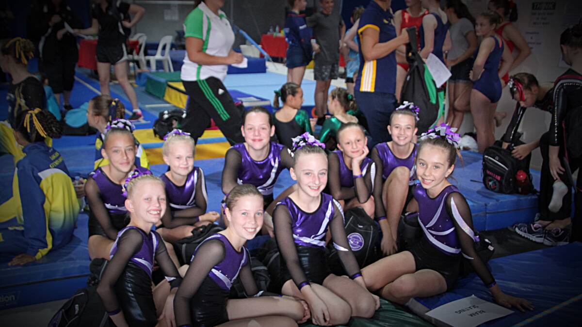 Gymnasts qualify for state championships