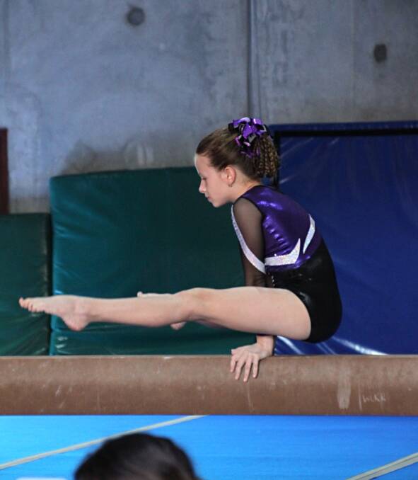 Gymnasts qualify for state championships