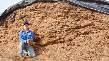 Sarah Packer with a handful of silage on her property Hartwood, near Roma. Picture: Ben Harden 
