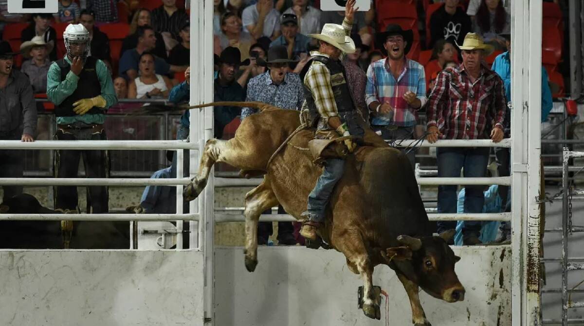 Bull riding featured at a charity event at Tamworth in January. Photo: Peter Hardin.
