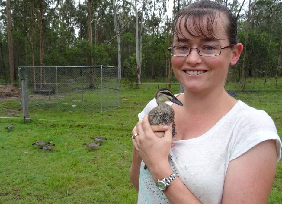 BIRDS:  Connie Clune of Jimboomba with some wood ducks.  The RSPCA is now seeking foster carers of domesticated birds.
