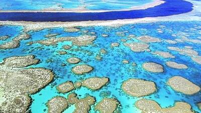SPECIAL PLACE: Australia's beautiful Great Barrier Reef is deemed one of the world's greatest natural wonders.
