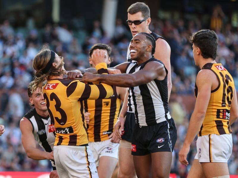 Collingwood held on for a five-point win in Hawk Jack Ginnivan's first game against his old club. (Matt Turner/AAP PHOTOS)