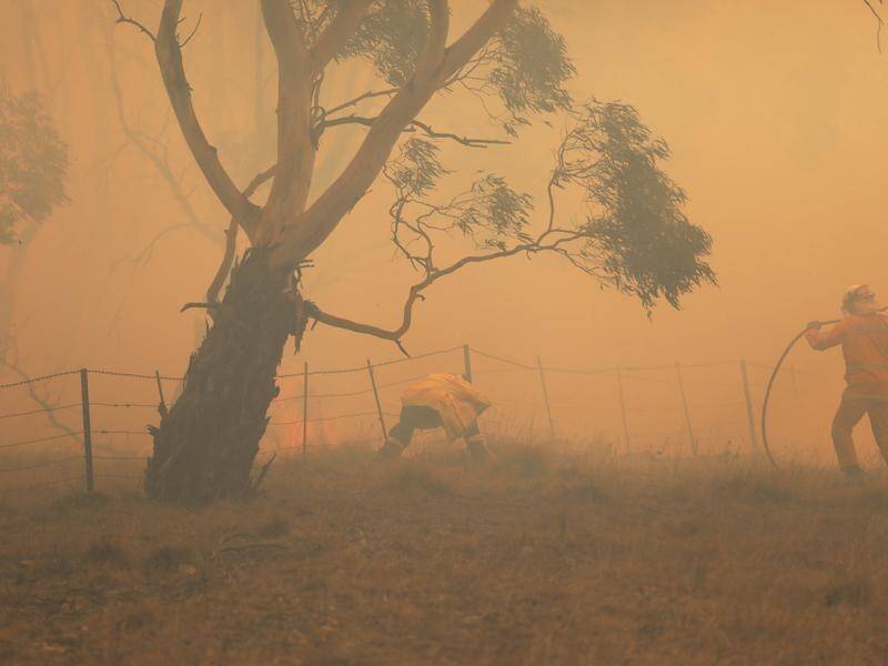 The twin disasters of bushfires in Australia and a global pandemic have increased news readership.