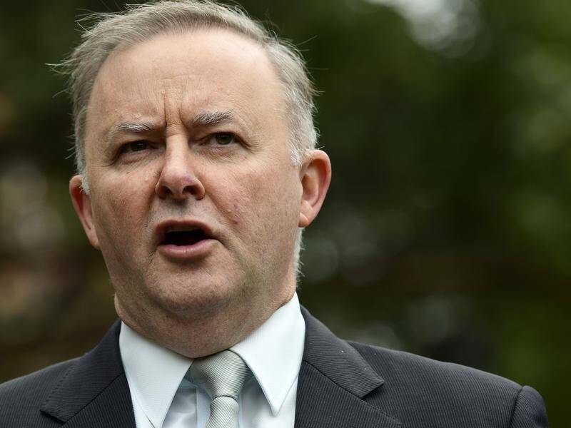 Labor wants to focus on boosting trade with Indonesia, Singapore, Malaysia and East Timor.