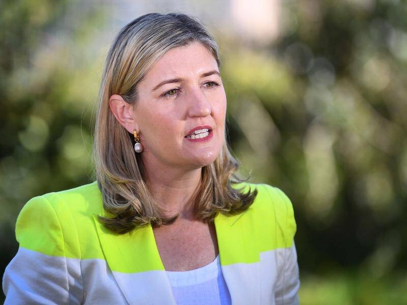 COVID has made it more diificult for families affected by domestic violence, says Shannon Fentiman. (Jono Searle/AAP PHOTOS)