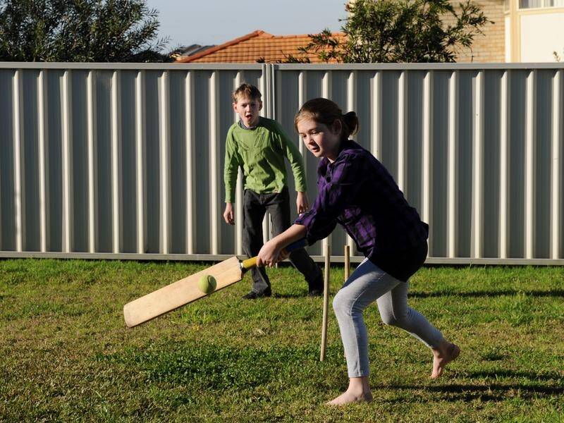 UK researchers say bamboo cricket bats could perform better than traditional willow blades.