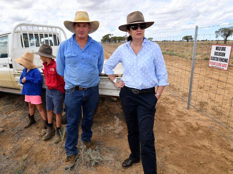 Queensland's farmers are facing a critical situation as rural communities battle to stay afloat.