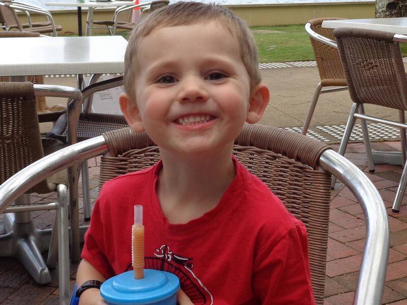 William Tyrrell disappeared from his foster grandmother's home in the NSW town of Kendall.