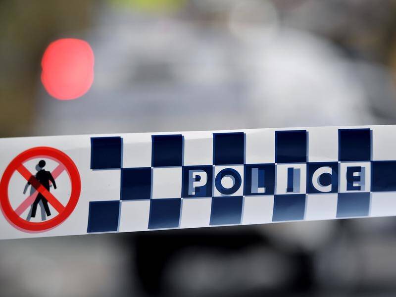 A woman has been charged with murder over the stabbing death of a man at a property in Maitland.