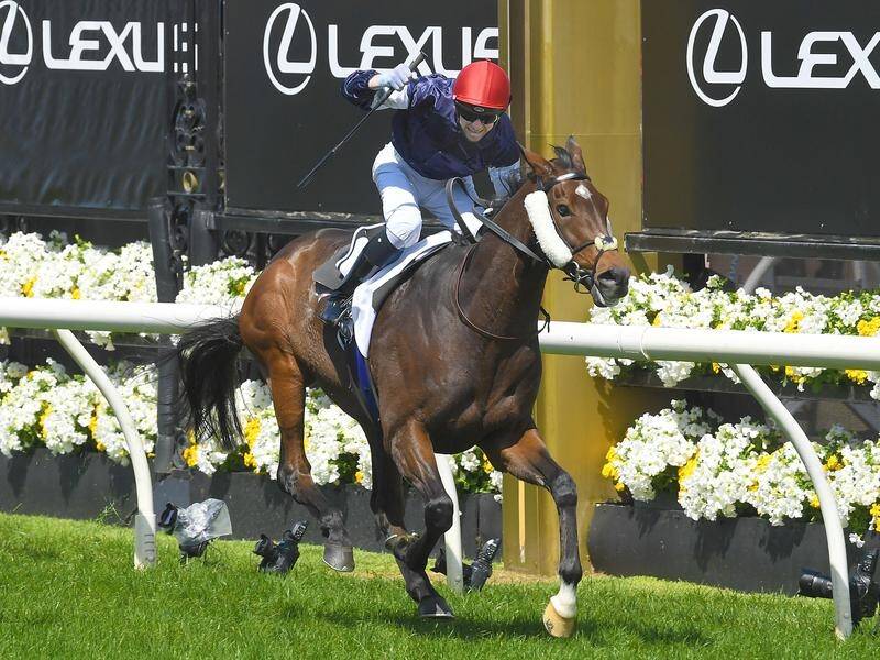 Twilight Payment, ridden by Jye McNeil, has claimed victory in the Melbourne Cup at Flemington.