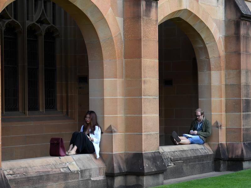 Australian universities are too dependent on fees from foreign students, according to a new report.