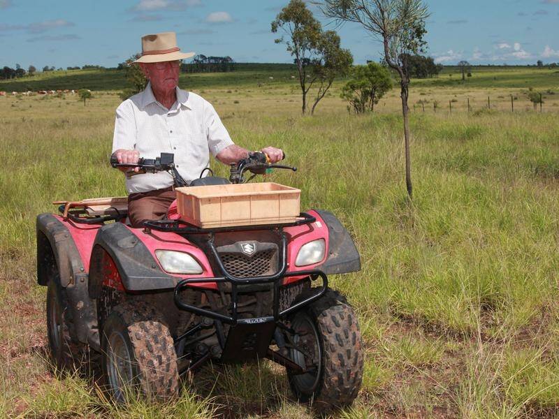 The federal government is being urged to increase quad bike safety, and make roll bars mandatory.