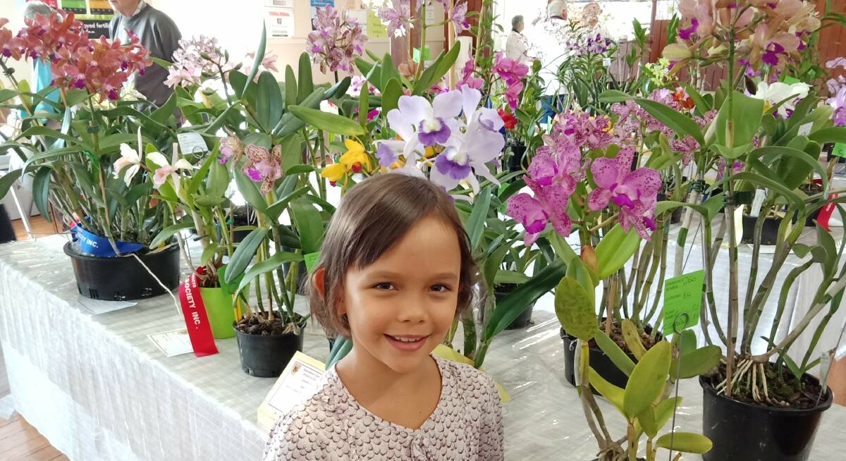 RAINBOW DAYS: Chelsea Ryan, 7, snapped against a sea of colour at the Beaudesert Districts Orchid and Foliage Show at Canungra School of Arts. Photo: Lisa Simmons 3/11/2018.