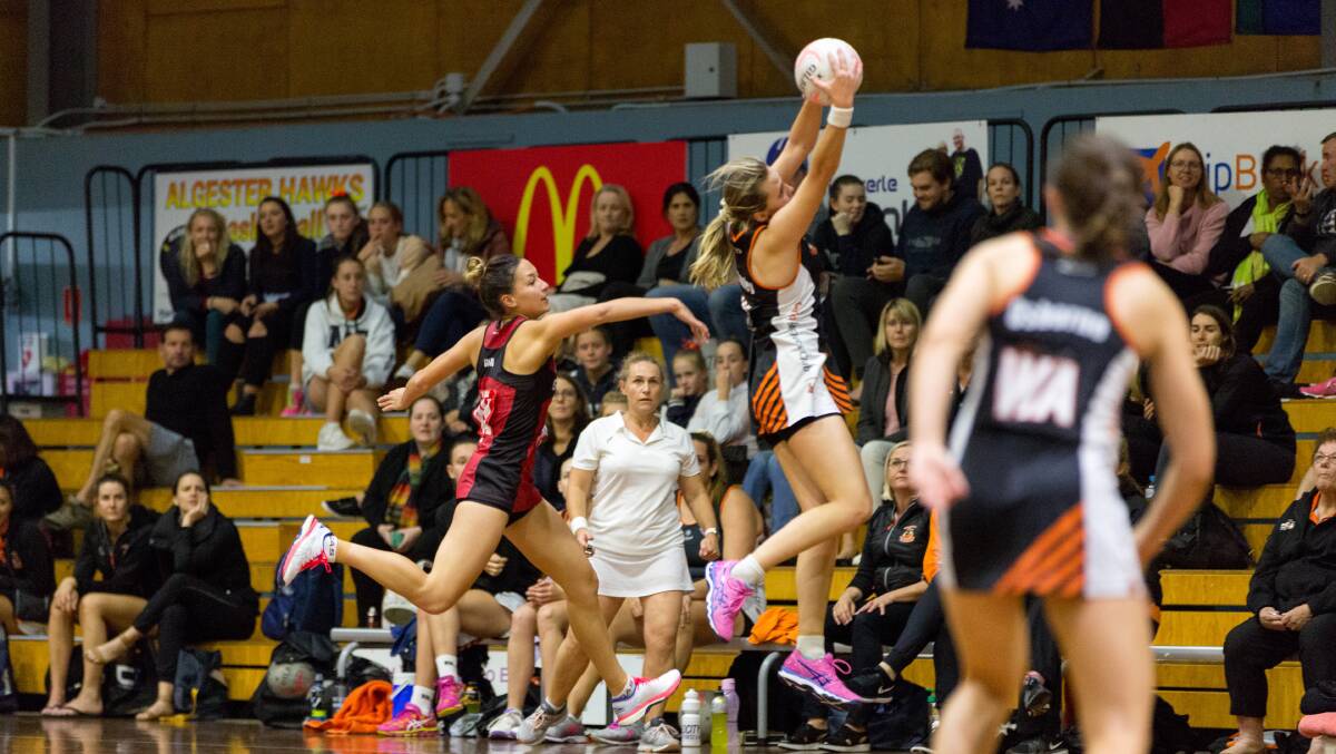 Brisbane North Cougars compete against Carina Leagues Club Tigers in QSNL,  Division 1, Round 15, August 28. Photo: Netball Queensland