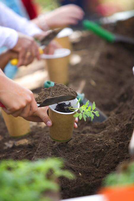 GREEN THUMBS: A tomato planting workshop. Photo: Supplied