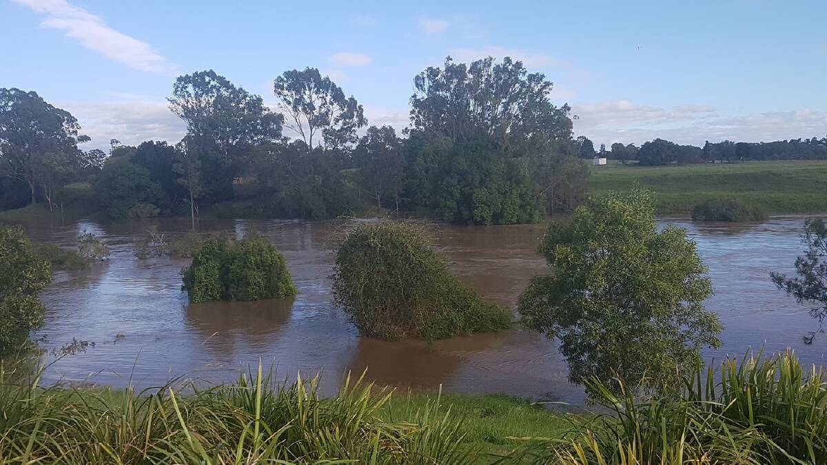 WET: The associated Logan River in flood.