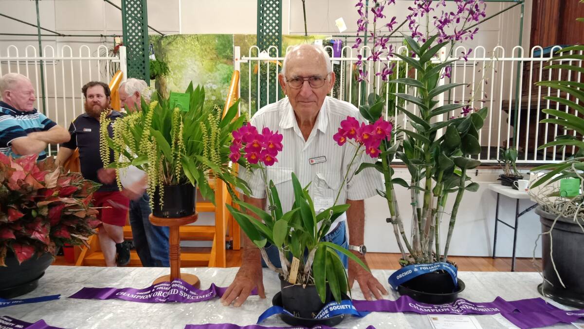 BLOOMING BRILLIANT: Beaudesert District Orchid and Foliage Show grand prize winner Jimmy Zimmerman. Photo Lisa SImmons