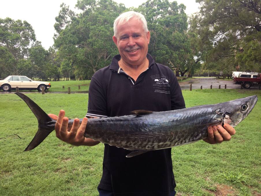 CATCH: Neil Stratford managed to get one Spanish mackerel away from the sharks off the Sunshine Coast.
