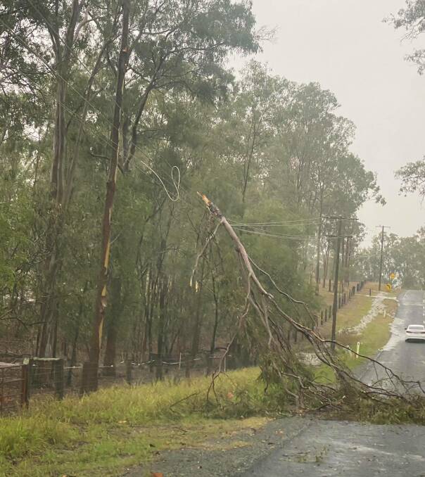 WET AND WILD: A tree falls onto the road during Wednesday's bout of severe thunderstorms. More rain is predicted for Saturday. 