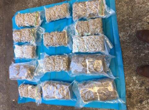 Dangerous: Police seized drugs in a Logan and Brisbane operation.