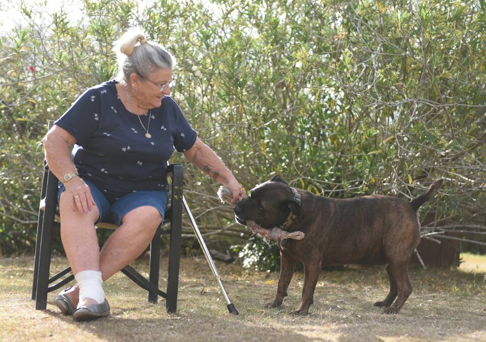 Good boy: Donna James and her dog Bomber, who has faced two deadly brown snakes in recent weeks. Photo: Matt McLennan