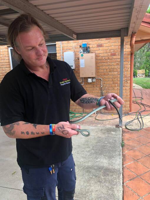 Little snakes around: Glenn Lawrence, from OzCapture Snake Removals, said hatching season was in full swing.