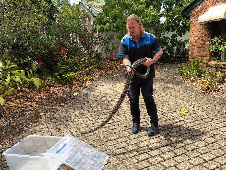 Rescued: Glenn Lawrence with the Daisy Hill snake.