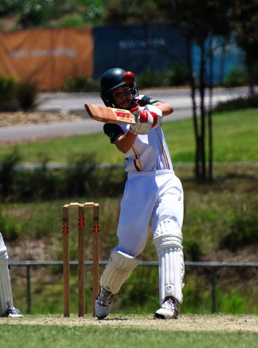 Wielding the willow: Cameron Thurlow will be in action for Jimboomba Bushrangers this weekend. Photo: Melissa Benstead