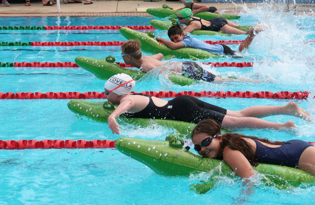 New members: Greenbank Gators Swimming Club is looking for more swimmers to dive in. 