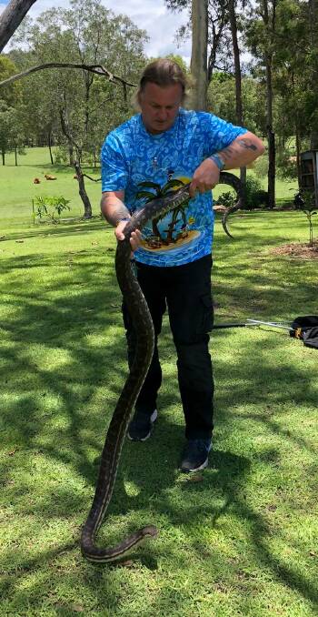 A BIG 'UN: Glenn Lawrence with a heavy coastal carpet python at Logan Village.