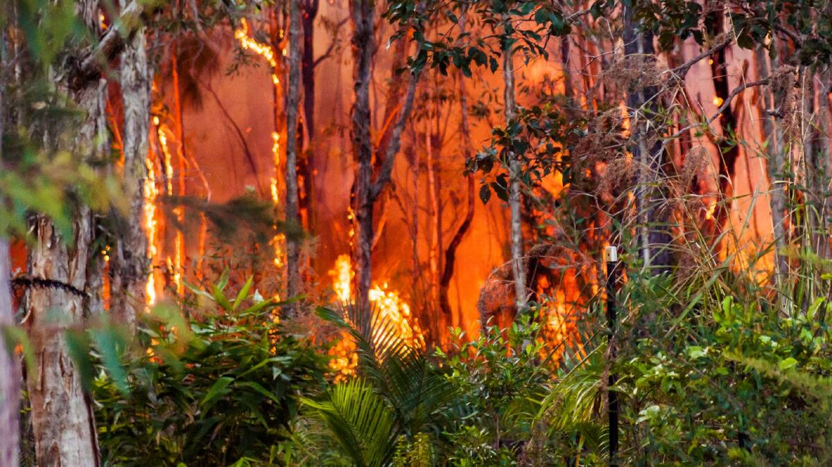 Support: Fire appeal money will go where it's needed, St VIncent de Paul has assured south-east Queensland residents