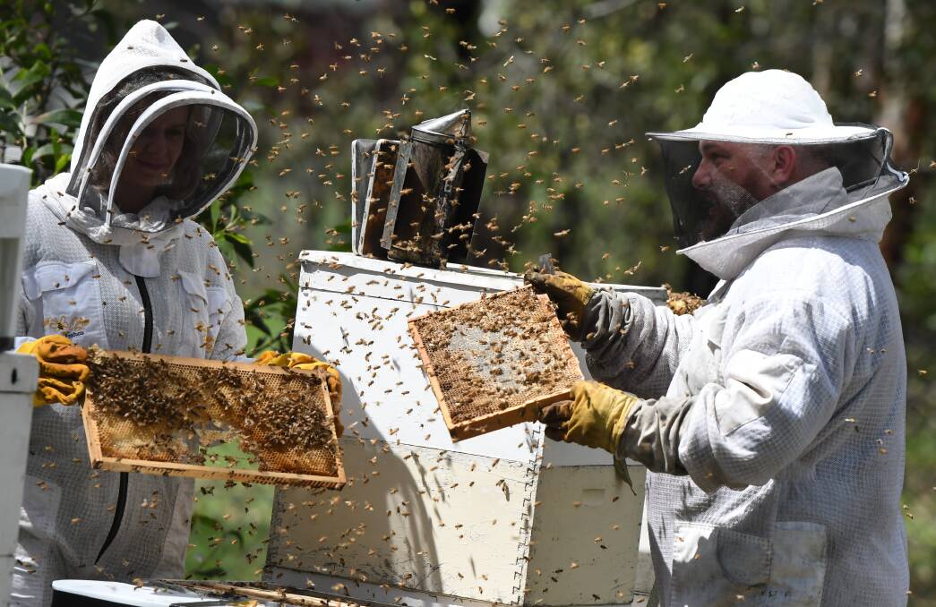Buoyed by rain: Jimboomba beekeepers Natasha and Jason Roebig with one of their hives. The couple has been buoyed by recent rain, but say the honey industry needs more solid falls to be out of the woods.