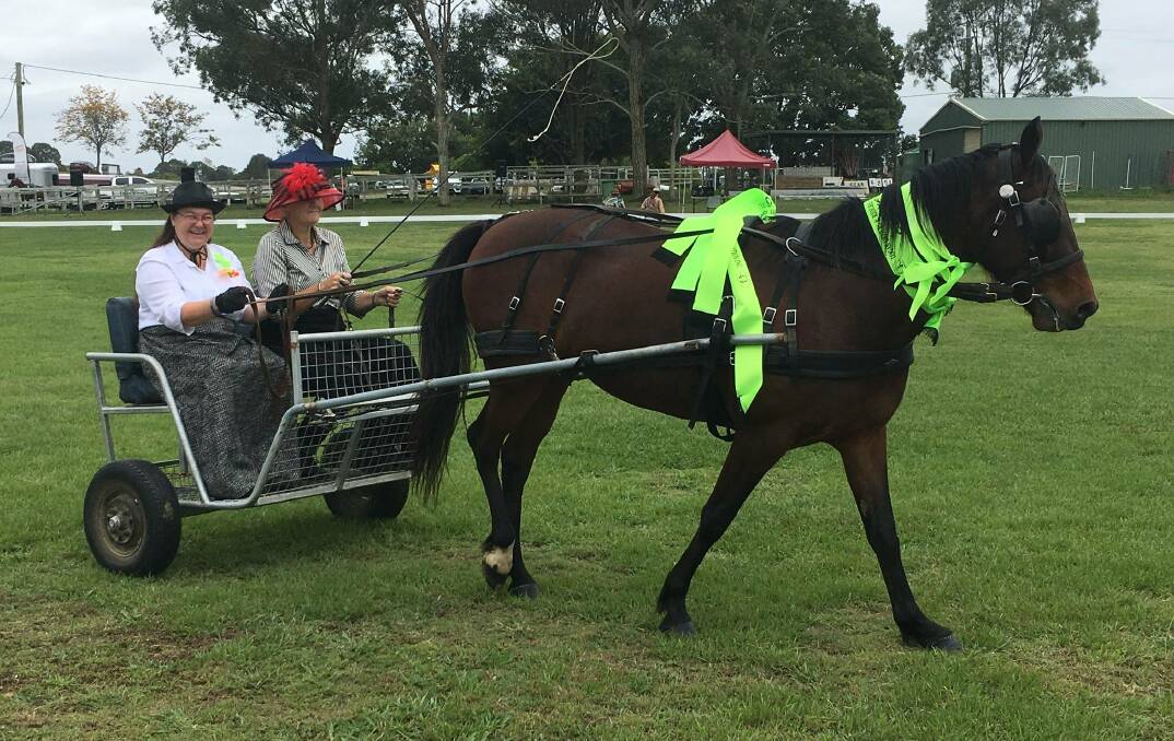 DRIVER: Debbie King and Lyn Clark with Tatiana winning Beginner Horse in Harness. Photo: Supplied