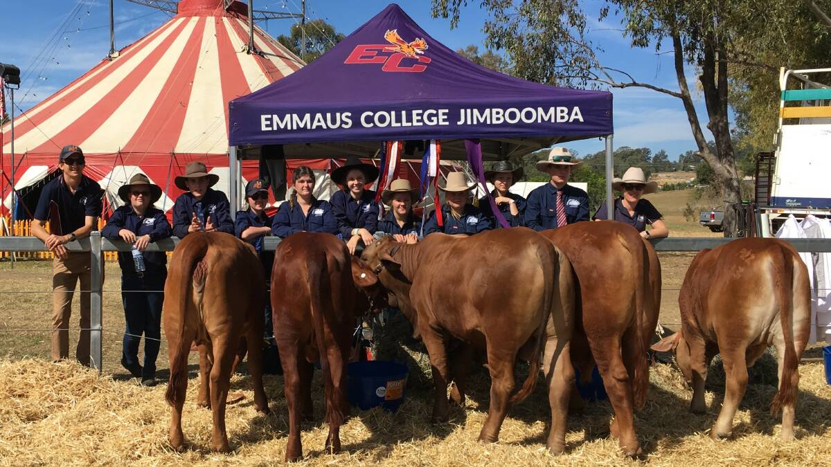 SHOW TIME: Emmaus ag team with their five Lake Moogerah Droughtmasters. Photo: Supplied